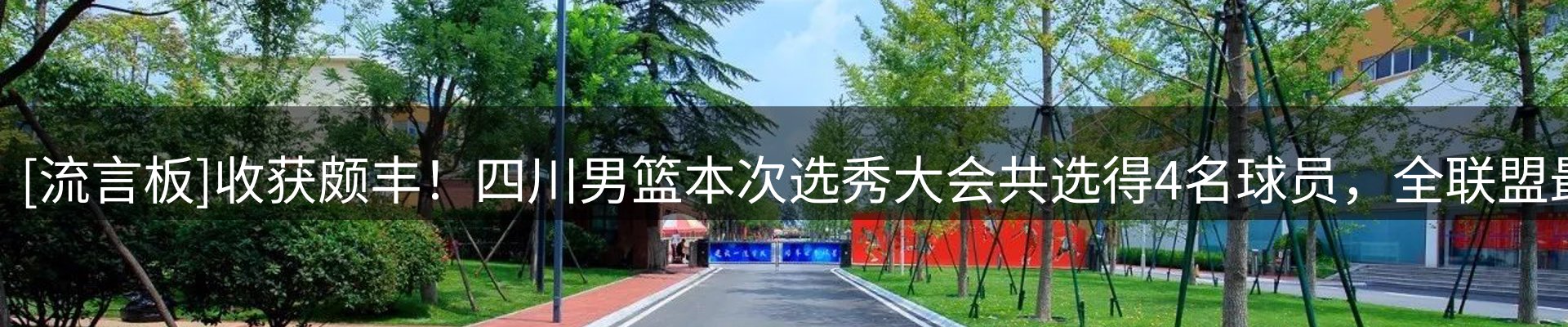 网站资讯